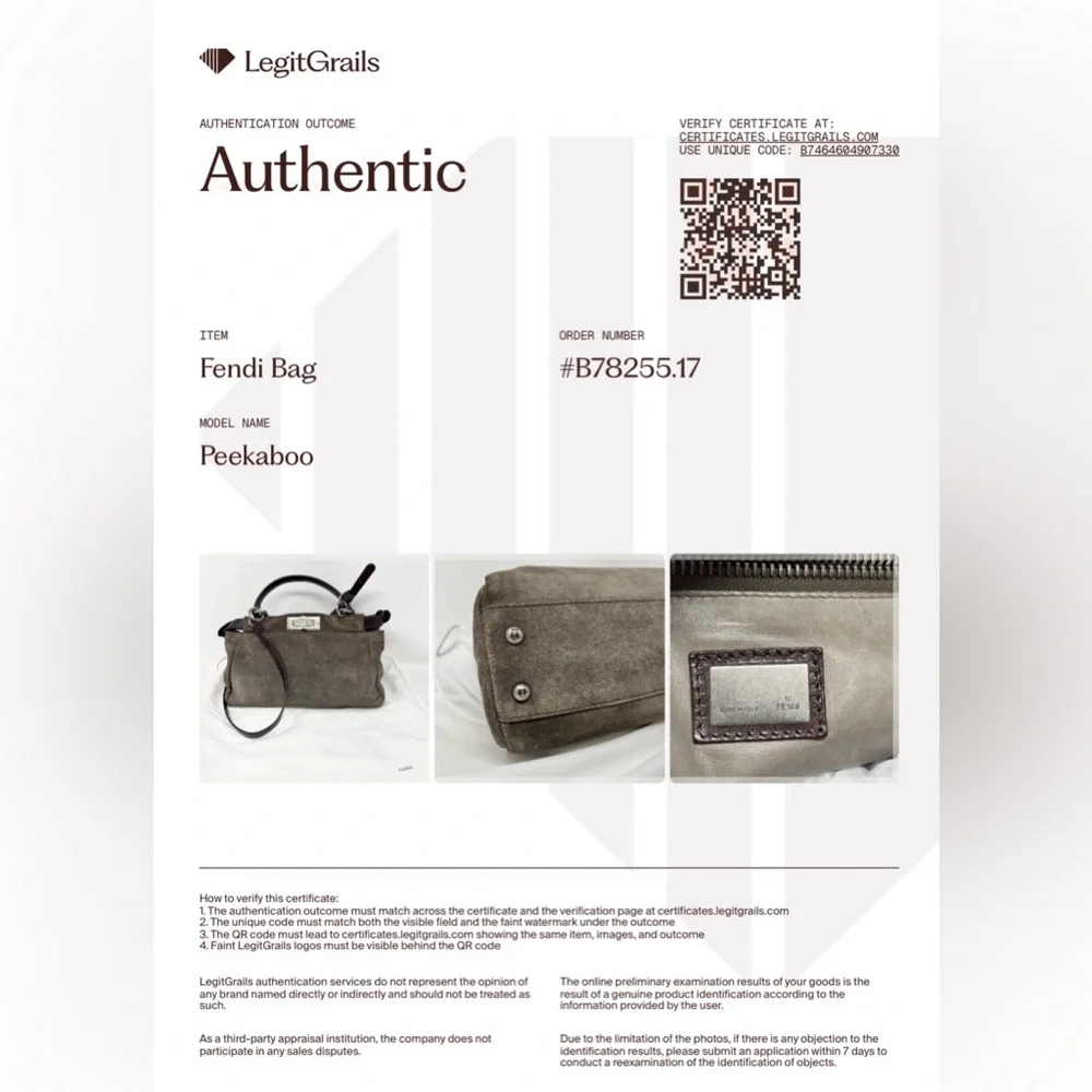 Fendi Peekaboo Top Handle Bag Dove Grey Suede Medium Silver Hardware - Picture 4 of 16